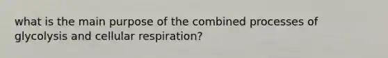 what is the main purpose of the combined processes of glycolysis and <a href='https://www.questionai.com/knowledge/k1IqNYBAJw-cellular-respiration' class='anchor-knowledge'>cellular respiration</a>?