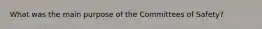 What was the main purpose of the Committees of Safety?