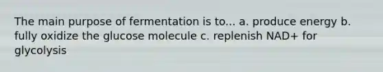 The main purpose of fermentation is to... a. produce energy b. fully oxidize the glucose molecule c. replenish NAD+ for glycolysis