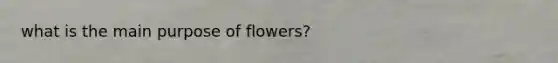 what is the main purpose of flowers?