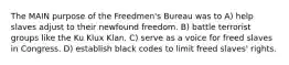 The MAIN purpose of the Freedmen's Bureau was to A) help slaves adjust to their newfound freedom. B) battle terrorist groups like the Ku Klux Klan. C) serve as a voice for freed slaves in Congress. D) establish black codes to limit freed slaves' rights.