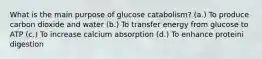 What is the main purpose of glucose catabolism? (a.) To produce carbon dioxide and water (b.) To transfer energy from glucose to ATP (c.) To increase calcium absorption (d.) To enhance proteini digestion