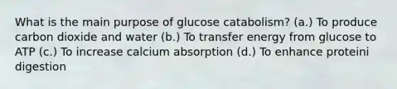 What is the main purpose of glucose catabolism? (a.) To produce carbon dioxide and water (b.) To transfer energy from glucose to ATP (c.) To increase calcium absorption (d.) To enhance proteini digestion