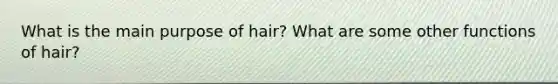 What is the main purpose of hair? What are some other functions of hair?