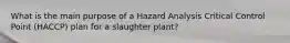 What is the main purpose of a Hazard Analysis Critical Control Point (HACCP) plan for a slaughter plant?