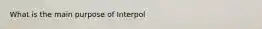 What is the main purpose of Interpol