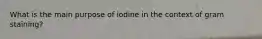 What is the main purpose of iodine in the context of gram staining?