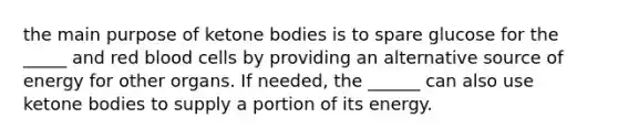 the main purpose of ketone bodies is to spare glucose for the _____ and red blood cells by providing an alternative source of energy for other organs. If needed, the ______ can also use ketone bodies to supply a portion of its energy.
