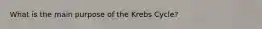 What is the main purpose of the Krebs Cycle?