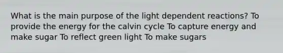 What is the main purpose of the light dependent reactions? To provide the energy for the calvin cycle To capture energy and make sugar To reflect green light To make sugars