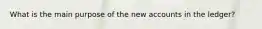 What is the main purpose of the new accounts in the ledger?