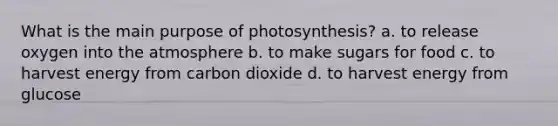 What is the main purpose of photosynthesis? a. to release oxygen into the atmosphere b. to make sugars for food c. to harvest energy from carbon dioxide d. to harvest energy from glucose