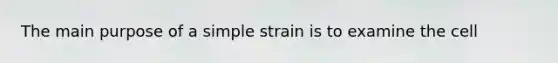 The main purpose of a simple strain is to examine the cell