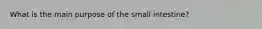 What is the main purpose of the small intestine?
