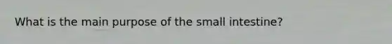 What is the main purpose of the small intestine?