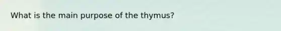 What is the main purpose of the thymus?