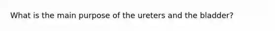 What is the main purpose of the ureters and the bladder?