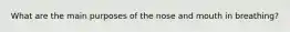 What are the main purposes of the nose and mouth in breathing?