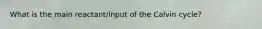 What is the main reactant/input of the Calvin cycle?
