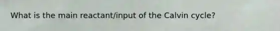 What is the main reactant/input of the Calvin cycle?