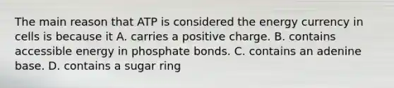 The main reason that ATP is considered the energy currency in cells is because it A. carries a positive charge. B. contains accessible energy in phosphate bonds. C. contains an adenine base. D. contains a sugar ring