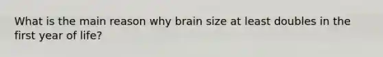 What is the main reason why brain size at least doubles in the first year of life?