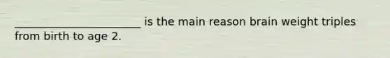 _______________________ is the main reason brain weight triples from birth to age 2.