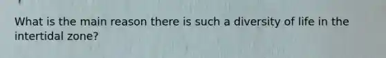 What is the main reason there is such a diversity of life in the intertidal zone?