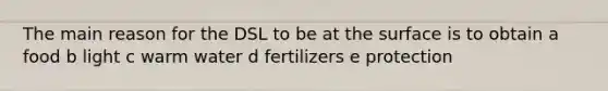 The main reason for the DSL to be at the surface is to obtain a food b light c warm water d fertilizers e protection