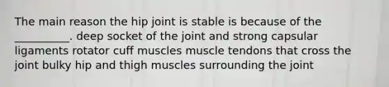 The main reason the hip joint is stable is because of the __________. deep socket of the joint and strong capsular ligaments rotator cuff muscles muscle tendons that cross the joint bulky hip and thigh muscles surrounding the joint