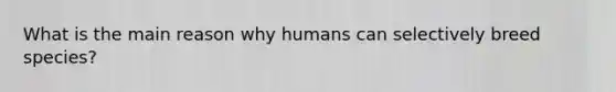 What is the main reason why humans can selectively breed species?