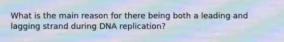 What is the main reason for there being both a leading and lagging strand during DNA replication?