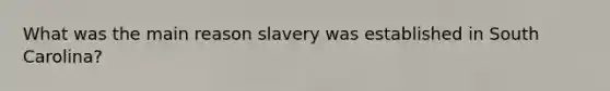 What was the main reason slavery was established in South Carolina?