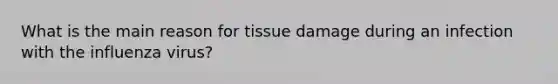 What is the main reason for tissue damage during an infection with the influenza virus?