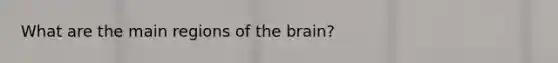 What are the main regions of the brain?