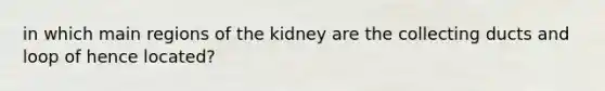 in which main regions of the kidney are the collecting ducts and loop of hence located?