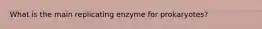 What is the main replicating enzyme for prokaryotes?