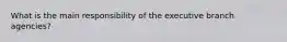 What is the main responsibility of the executive branch agencies?