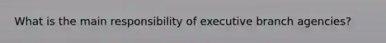 What is the main responsibility of executive branch agencies?