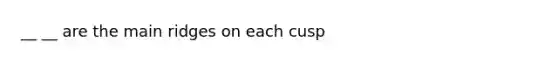 __ __ are the main ridges on each cusp