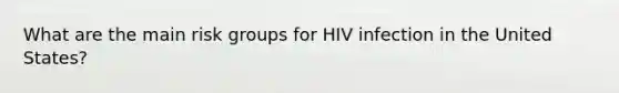 What are the main risk groups for HIV infection in the United States?