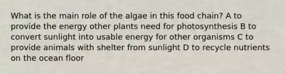 What is the main role of the algae in this food chain? A to provide the energy other plants need for photosynthesis B to convert sunlight into usable energy for other organisms C to provide animals with shelter from sunlight D to recycle nutrients on the ocean floor