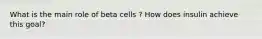 What is the main role of beta cells ? How does insulin achieve this goal?