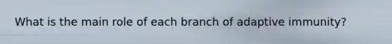 What is the main role of each branch of adaptive immunity?