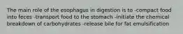 The main role of the esophagus in digestion is to -compact food into feces -transport food to the stomach -initiate the chemical breakdown of carbohydrates -release bile for fat emulsification