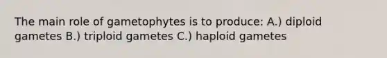 The main role of gametophytes is to produce: A.) diploid gametes B.) triploid gametes C.) haploid gametes