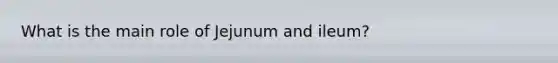 What is the main role of Jejunum and ileum?