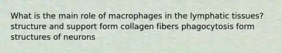 What is the main role of macrophages in the lymphatic tissues? structure and support form collagen fibers phagocytosis form structures of neurons