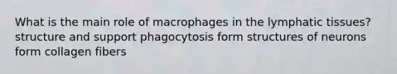 What is the main role of macrophages in the lymphatic tissues? structure and support phagocytosis form structures of neurons form collagen fibers