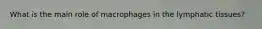 What is the main role of macrophages in the lymphatic tissues?